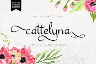 A Designer's Honest Take on the Cattelyna Typeface and Where It Actually Belongs