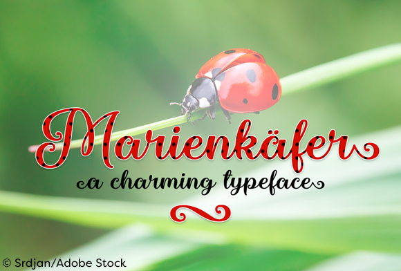 Marienkaefer Font: Elegant Calligraphy for Design
